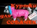 Куртка для собак Найдено на Aliexpress