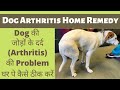 How To Treat Dog S Arthritis At Home Kutte Ke Jodo Ka Dard Ka Ilaj How To Fix Joint Pain In Dogs How To Treat Dog S Arthritis At Home Kutte Ke Jodo Ka Dard Ka Ilaj How To Fix Joint Pain In Dogs