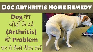 How to Treat Dog's Arthritis at Home | kutte ke jodo ka dard ka ilaj | How to fix Joint Pain in Dogs