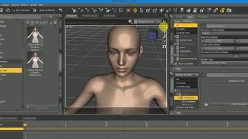 How to use Shaping Preset in Daz Studio 4