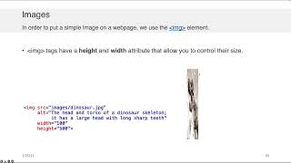 Web Application Development - HTML: Essential Elements screenshot 2