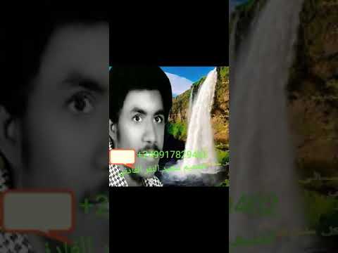 اكتب ليك واطول في كتاباتي ياسين عبد العظيم تحياتي سعيد النقر الفادني 0917829402