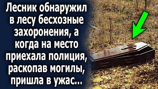 Лесник обнаружил в лесу что-то непонятное, а позже, раскопав это, был шокирован находкой…