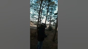 Slow forest flight - Protek 35 HD