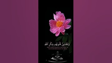 صباح الخير 🌺 اجمل حالات واتس اب مقاطع قصيره🌺قران كريم الذين آمنوا وتطمئن قلوبهم بذكر الله🌺بدون حقوق