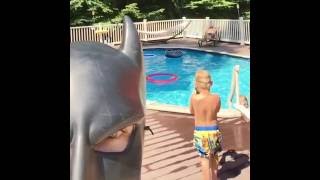 BatDad  Gotta Catch 'Em All Pokemon Go