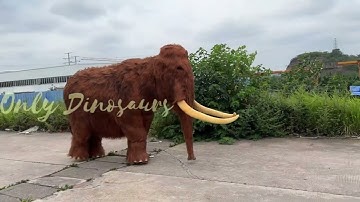 Crafting Life-Like Creatures | Inside the Dino Workshop