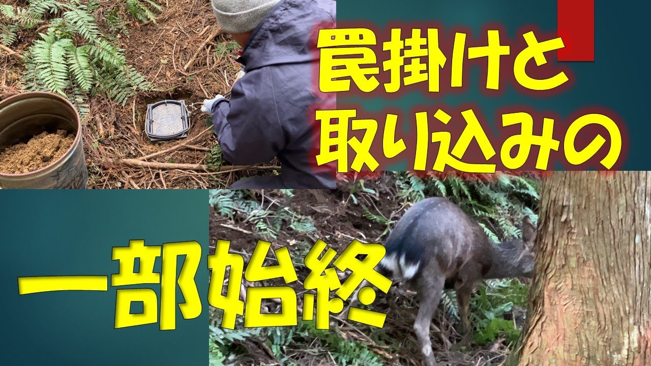 若き？猟師の奮闘　＃狩猟　＃限界集落