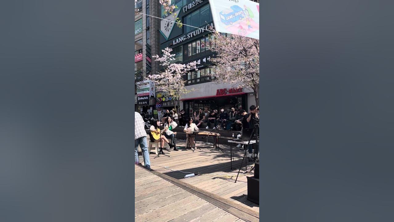 Sinchon, Seoul street Singing in Spring | Embracing Blossom-Scattered Pathways