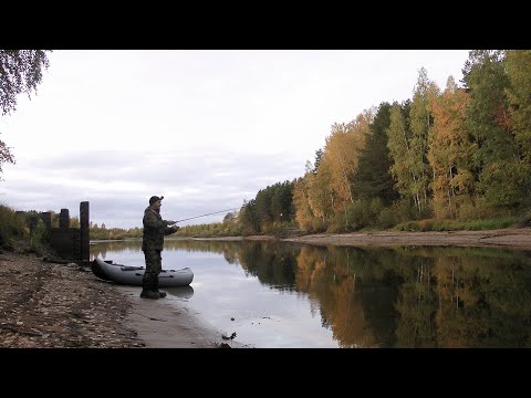 Видео: Ловля щуки рывковой проводкой | По малым рекам | Южная тайга