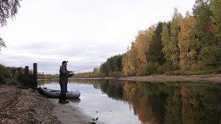 Ловля щуки рывковой проводкой | По малым рекам | Южная тайга