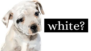 5 Tips for Painting White Animals in Watercolor