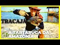 TRACAJÁ A TARTARUGA DA AMAZÔNIA.