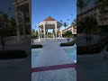 #rochyrd #elalfa #dancehall #dembow #wedding #fiestaprivada #matrimonio #song #shortvideo #shorts