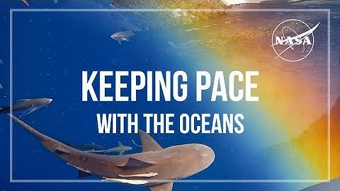 Keeping PACE with the Oceans