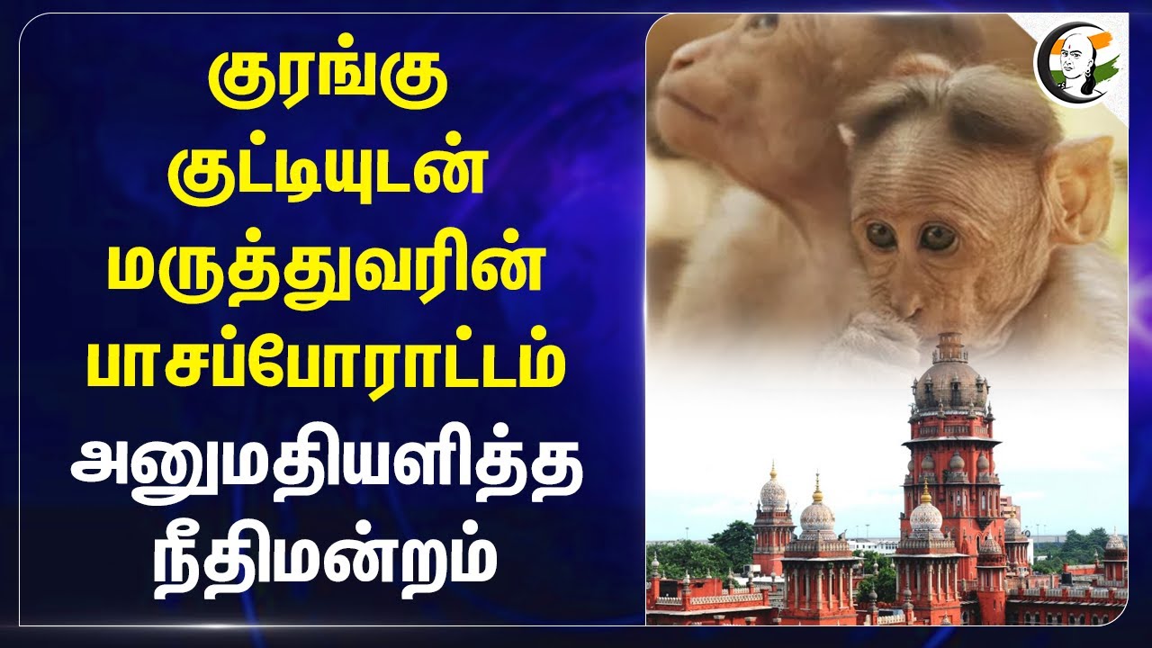 குரங்கு குட்டியுடன் மருத்துவரின் பாசப்போராட்டம்! அனுமதியளித்த Chennai High Court | Vandalur Zoo
