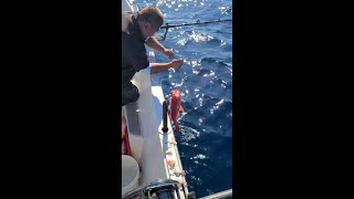 船釣深海500米紅飛刀 Boat Fishing 500 Meters Deep Sea ... 