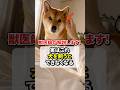 実はコレ、犬を飼うと出来なくなる