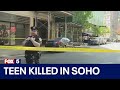 Teen killed in SoHo