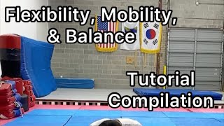 Flexibility & Mobility Drills Compilation for Martial Arts Taekwondo