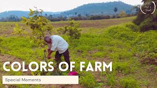 Colors of Farm | My Farm Tour
