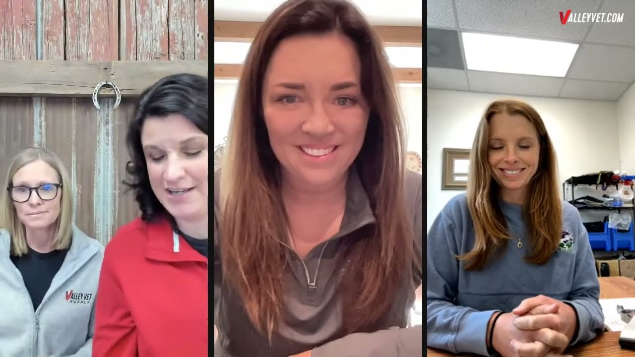 Fly Season Essentials with Professional's Choice