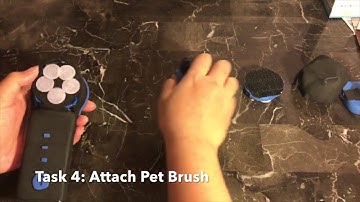 HCDE 451: A2 Model Prototype, Pet Shine