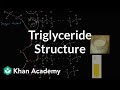 Molecular structure of triglycerides (fats) | Biology | Khan Academy