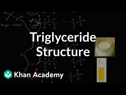 Molecular structure of triglycerides (fats) | Biology | Khan Academy