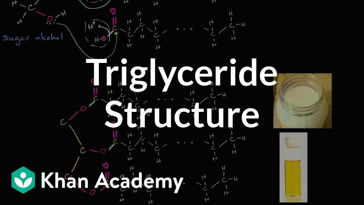 Triglycerides Conversion Chart