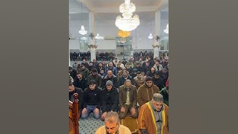 صلاة التراويح من مسجد دورا الكبير مع القارئ محمد حسين العواودة