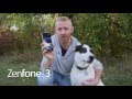 Dog Vs. ZenFone 3 | ASUS