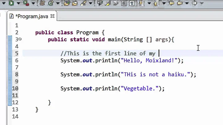 Java Whitespace & Comments