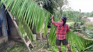 Building A Thatched Roof