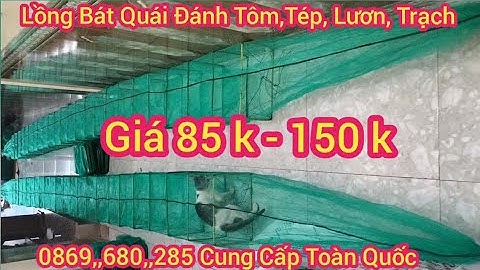 Lưới Lồng Bát Quái Bắt Tôm Tép Lươn Trạch Cua Cá Đánh Sông Ao Suối Ruộng Lúa