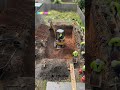 You Won’t Believe What’s Under This Garden #restoration #shorts #viral