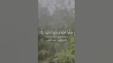 آيات من القرآن الكريم 💞 سورة الأحزاب 💞 الآية 56