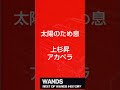 隠れた名曲WANDS『太陽のため息』を歌う上杉昇の歌声が神