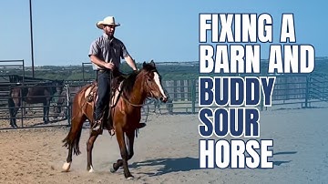 I GUARANTEE this will Fix ALL Barn and Buddy Sour Horses!