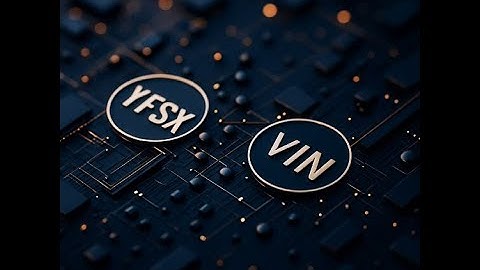 Core mechanisms of YFSX & VIN