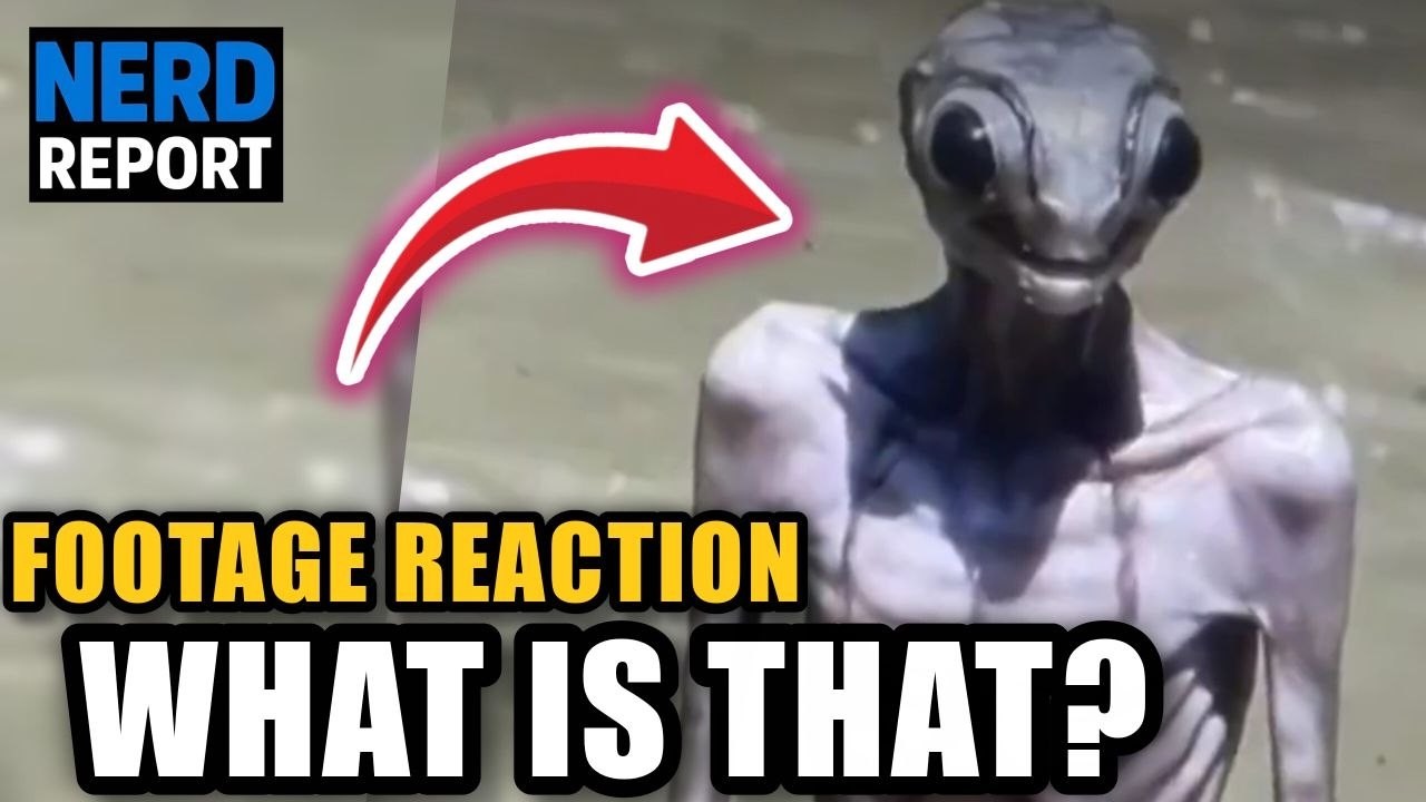 ALIEN CREATURES Caught on Camera?! Terrifying UFO & UAP Footage!