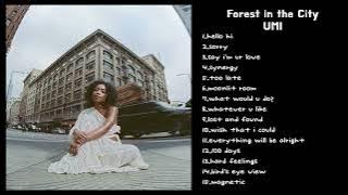 UMI - Forest in the City