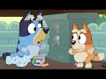 Vamos Espionar com Bluey e Bingo 👀 ✨ | Série 3 - Misteriosos | Bluey Português Brasil Canal Oficial