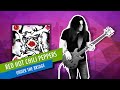 Under The Bridge by Red Hot Chili Peppers | Bass Cover with Tab