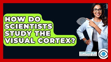How Do Scientists Study The Visual Cortex? - Optometry Knowledge Base