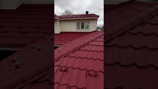 new roof