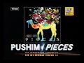 【CM】PUSHIM PIECES