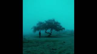 [FREE] Frank Ocean Type Beat | Piano Ballad &quot;blurred memoriest&quot;