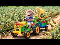 Monkey Sisi the JCB Tractor Excavator to Harvest Pineapples &amp; Rescues a Tiny Kitten!