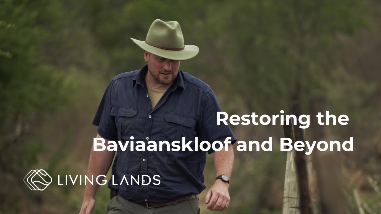 Scaling Landscape Restoration in the Eastern Cape, South Africa | Living Lands Episode 1